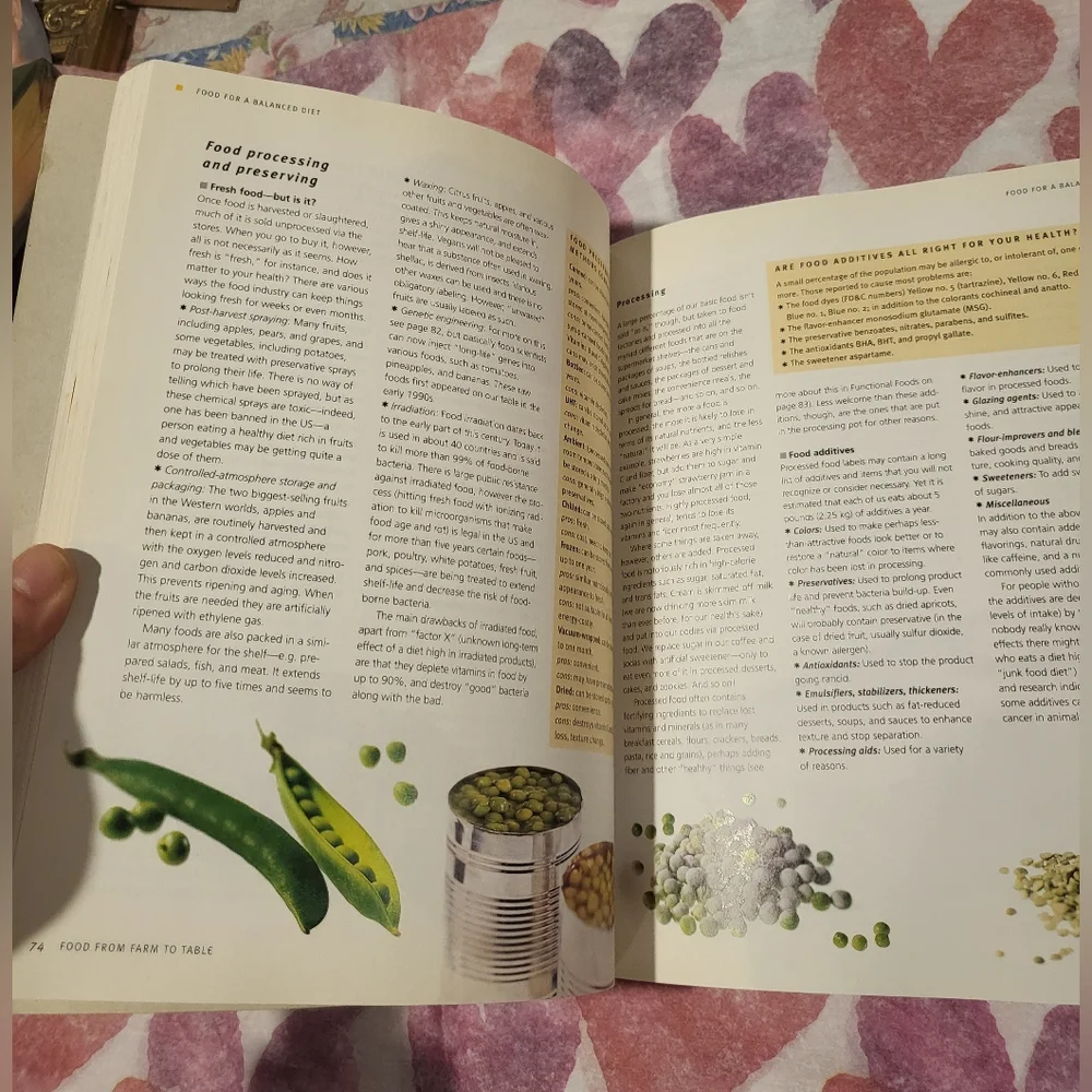 The Food Bible by Judith Wills Paperback Book